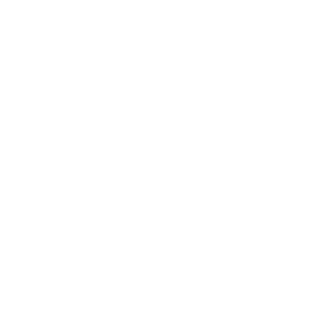 Longhorn Cabin